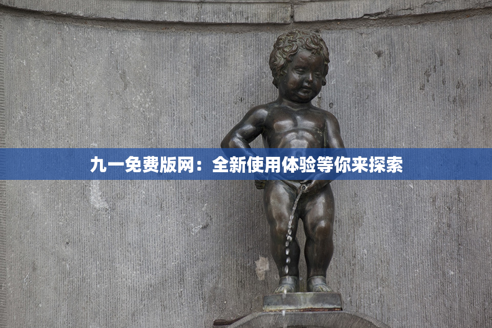 九一免费版网：全新使用体验等你来探索