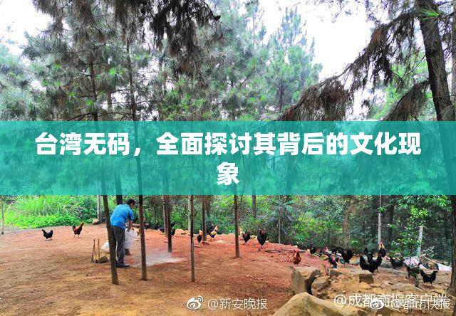 台湾无码，全面探讨其背后的文化现象