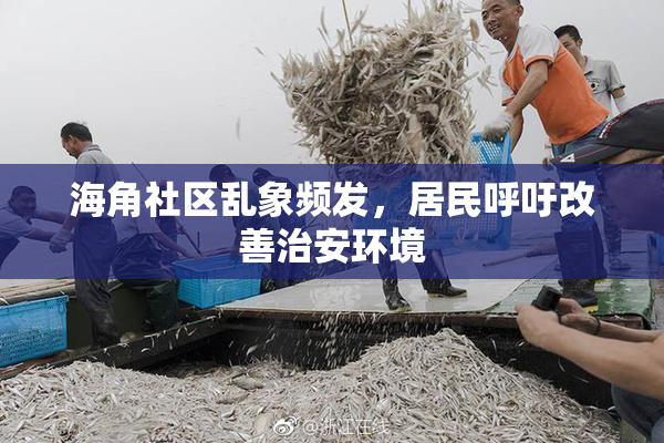 海角社区乱象频发，居民呼吁改善治安环境
