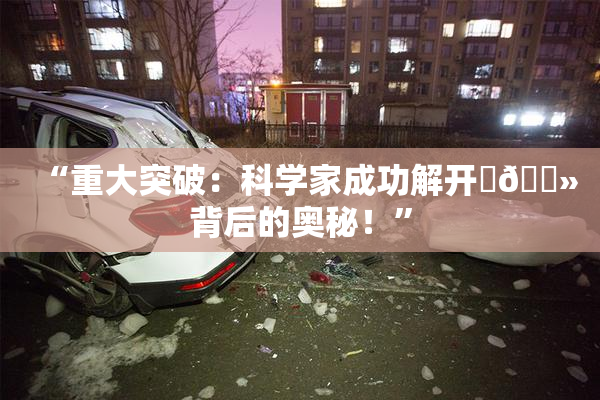 “重大突破：科学家成功解开‌🐻背后的奥秘！”