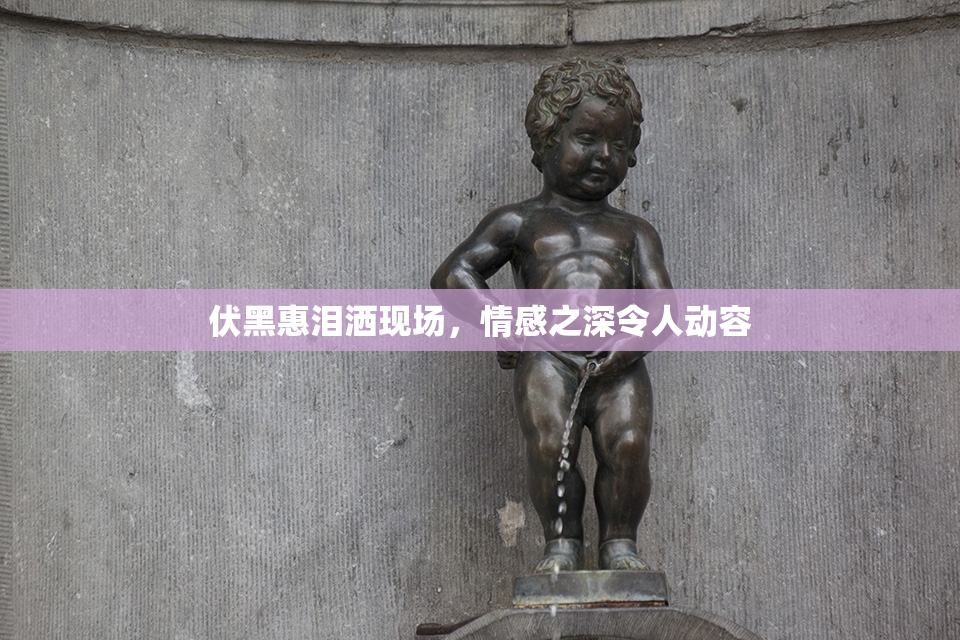 伏黑惠泪洒现场，情感之深令人动容