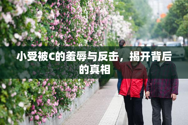 小受被C的羞辱与反击，揭开背后的真相