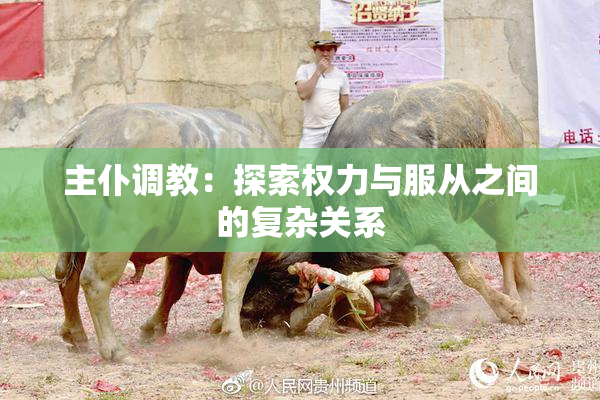 主仆调教：探索权力与服从之间的复杂关系