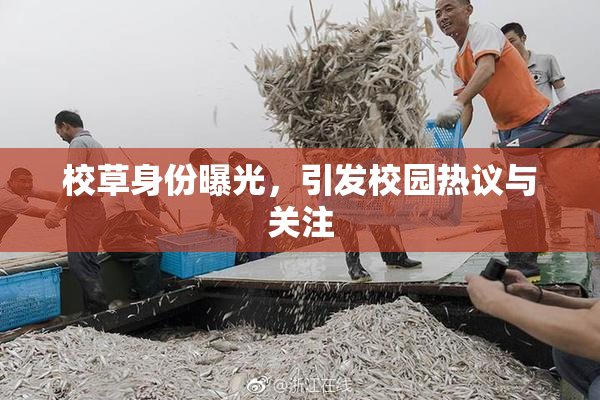 校草身份曝光，引发校园热议与关注