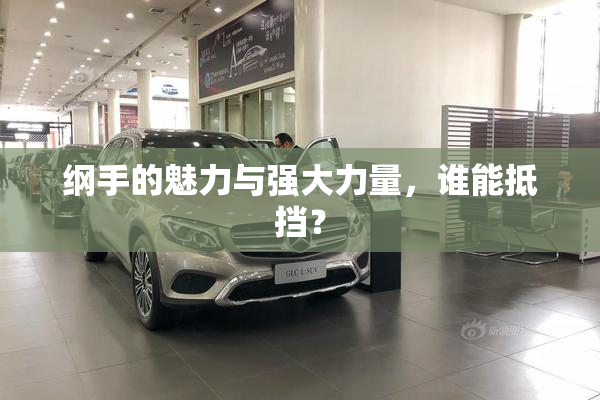 纲手的魅力与强大力量，谁能抵挡？