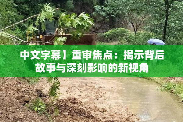 中文字幕】重审焦点：揭示背后故事与深刻影响的新视角