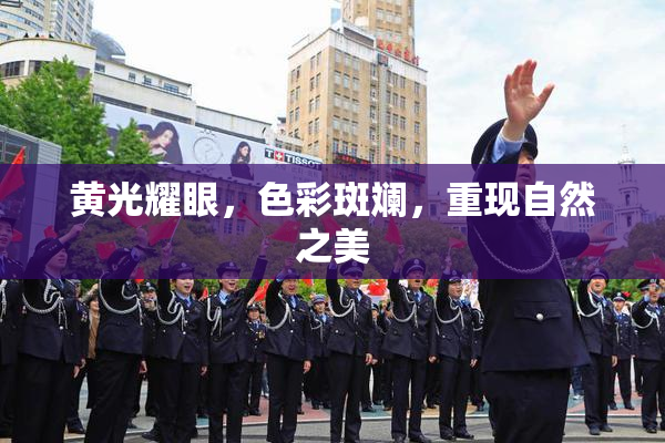 黄光耀眼，色彩斑斓，重现自然之美