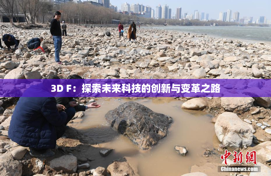 3D F：探索未来科技的创新与变革之路