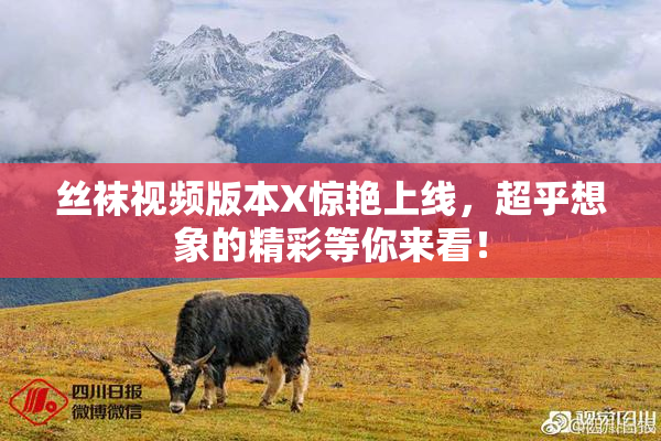 丝袜视频版本X惊艳上线，超乎想象的精彩等你来看！