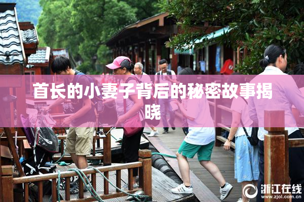 首长的小妻子背后的秘密故事揭晓