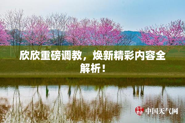 欣欣重磅调教，焕新精彩内容全解析！