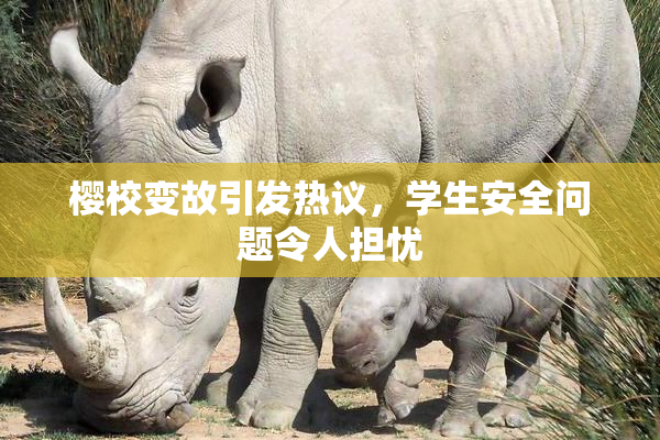 樱校变故引发热议，学生安全问题令人担忧