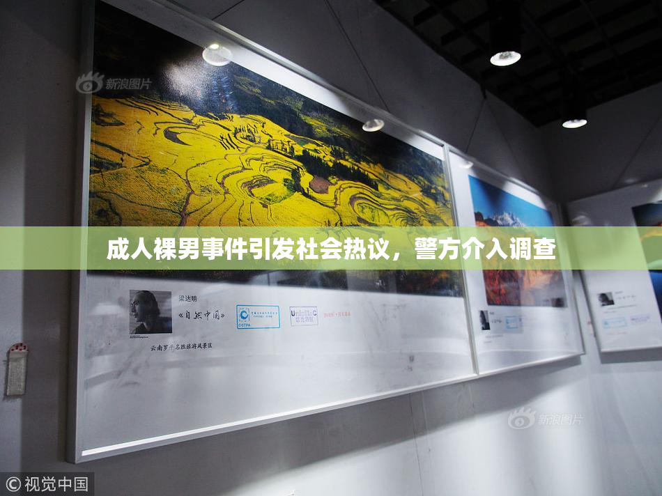 成人裸男事件引发社会热议，警方介入调查