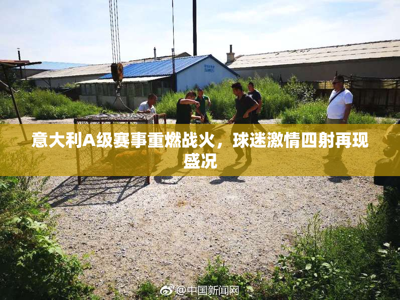 意大利A级赛事重燃战火，球迷激情四射再现盛况