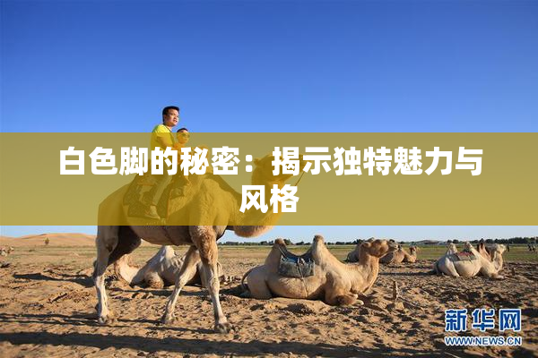 白色脚的秘密：揭示独特魅力与风格