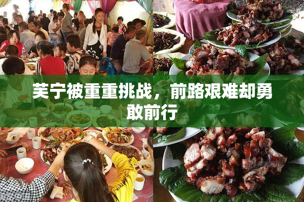芙宁被重重挑战，前路艰难却勇敢前行