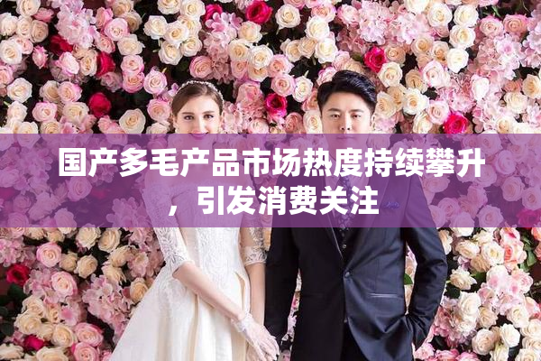 国产多毛产品市场热度持续攀升，引发消费关注