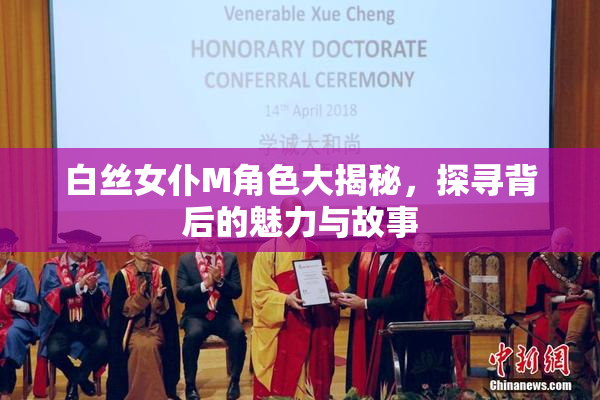 白丝女仆M角色大揭秘，探寻背后的魅力与故事