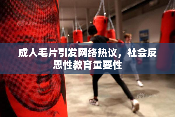 成人毛片引发网络热议，社会反思性教育重要性