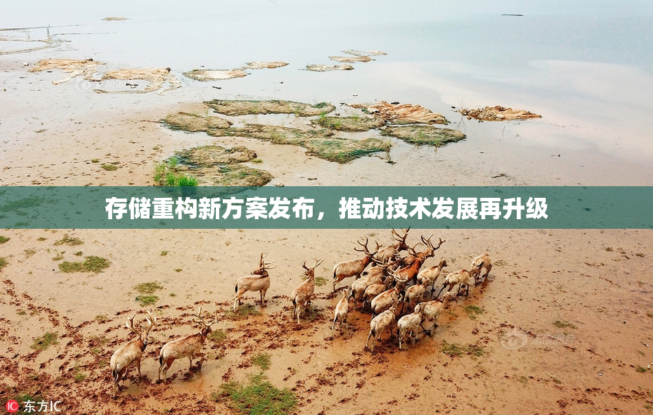 存储重构新方案发布，推动技术发展再升级