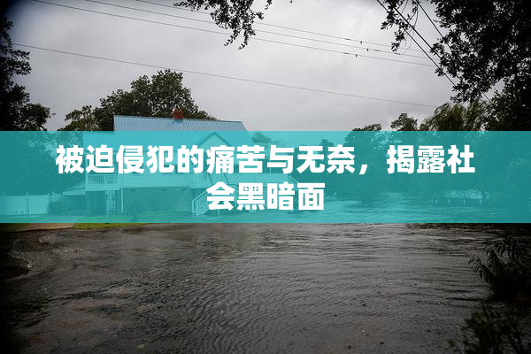 被迫侵犯的痛苦与无奈，揭露社会黑暗面