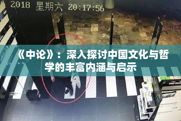 《中论》：深入探讨中国文化与哲学的丰富内涵与启示