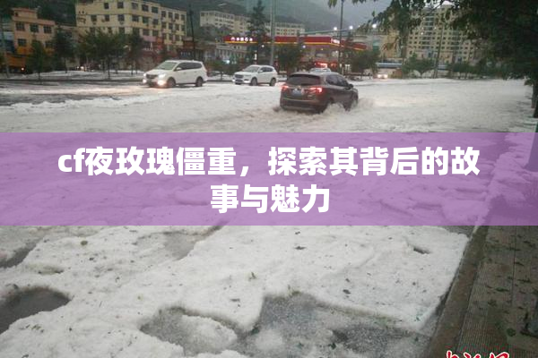 cf夜玫瑰僵重，探索其背后的故事与魅力