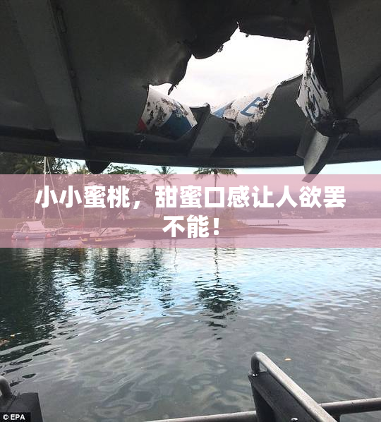 小小蜜桃，甜蜜口感让人欲罢不能！