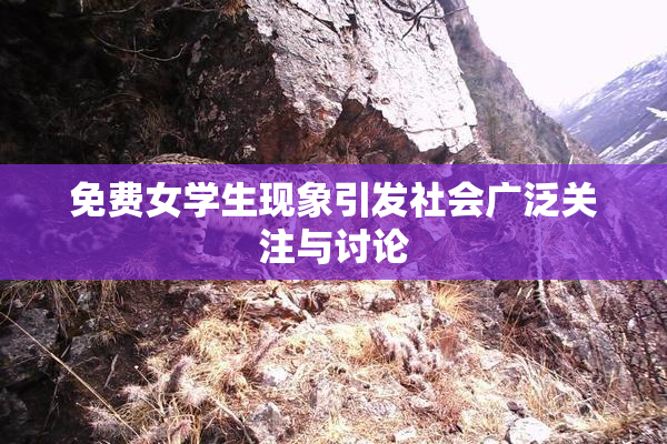 免费女学生现象引发社会广泛关注与讨论