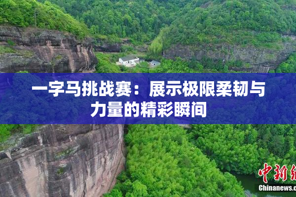 一字马挑战赛：展示极限柔韧与力量的精彩瞬间