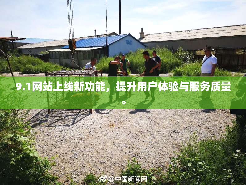 9.1网站上线新功能，提升用户体验与服务质量。