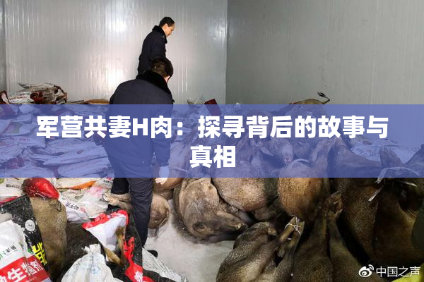 军营共妻H肉：探寻背后的故事与真相