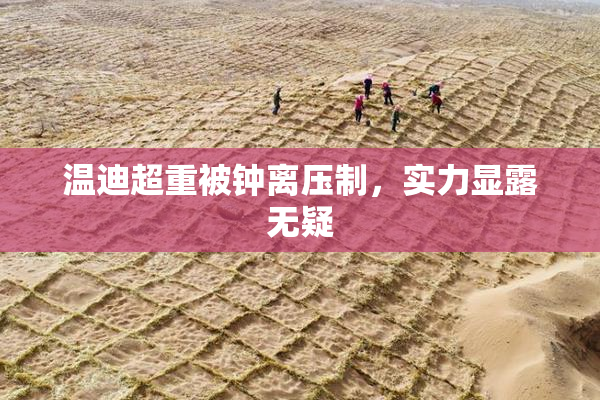 温迪超重被钟离压制，实力显露无疑
