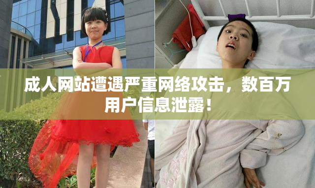 成人网站遭遇严重网络攻击，数百万用户信息泄露！