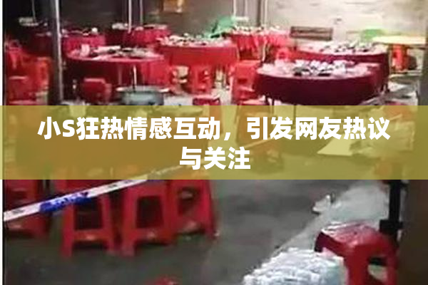 小S狂热情感互动，引发网友热议与关注