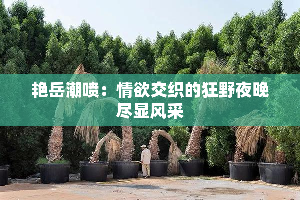 艳岳潮喷：情欲交织的狂野夜晚尽显风采