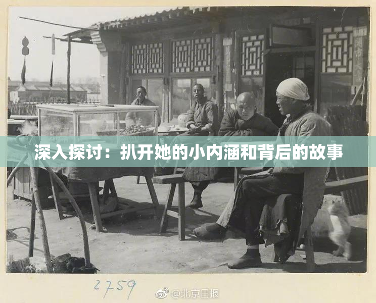 深入探讨：扒开她的小内涵和背后的故事