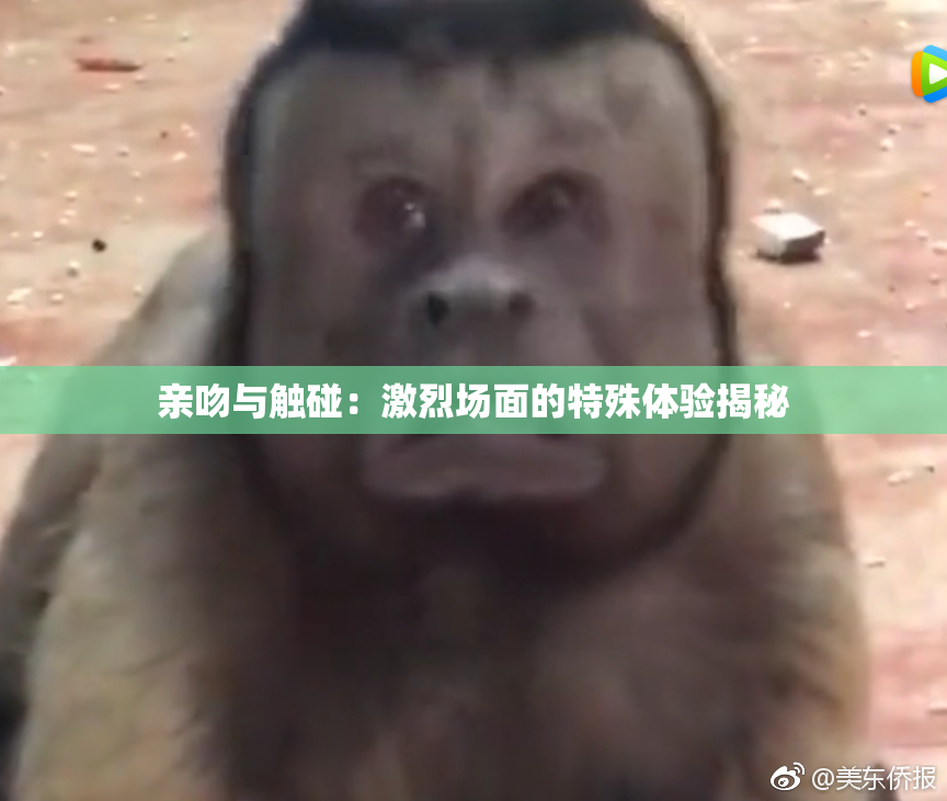 亲吻与触碰：激烈场面的特殊体验揭秘