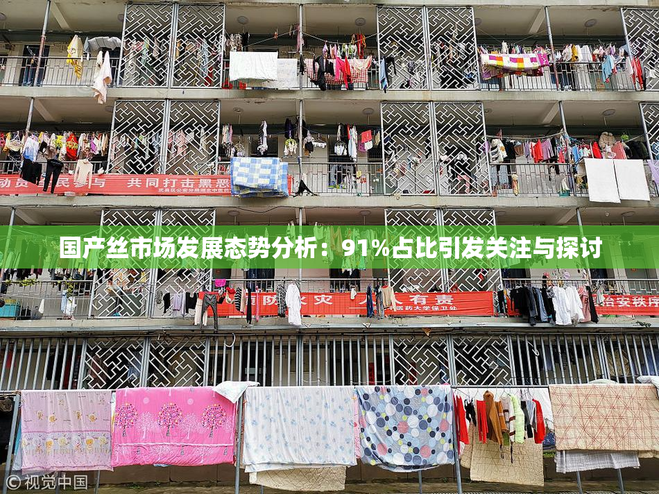 国产丝市场发展态势分析：91%占比引发关注与探讨