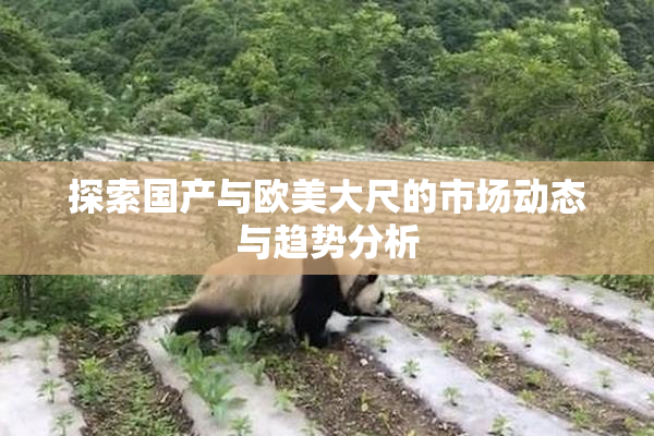 探索国产与欧美大尺的市场动态与趋势分析