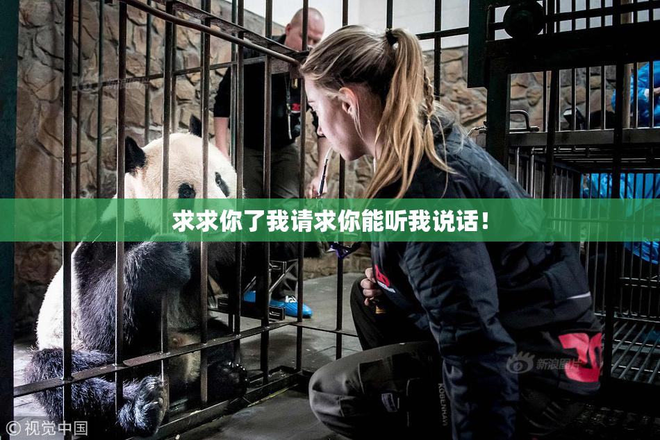 求求你了我请求你能听我说话！