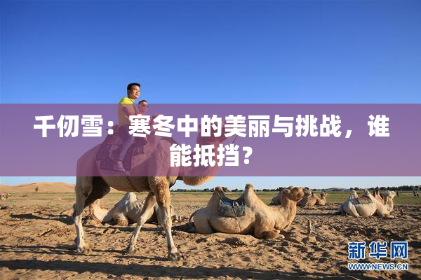 千仞雪：寒冬中的美丽与挑战，谁能抵挡？