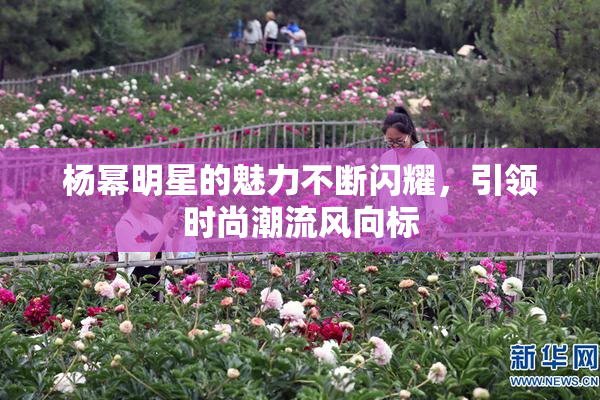 杨幂明星的魅力不断闪耀，引领时尚潮流风向标