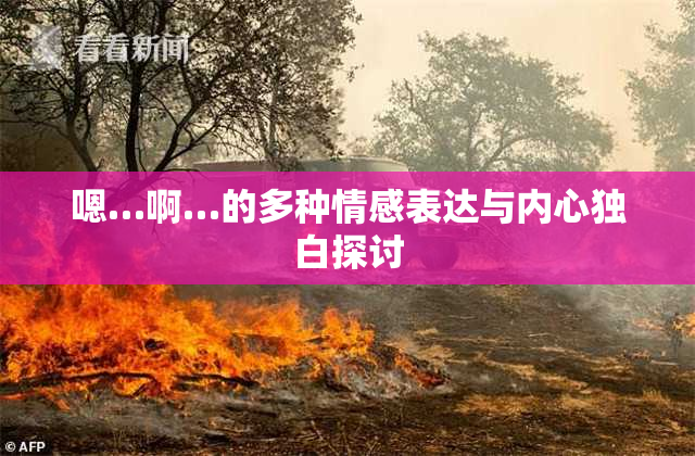 嗯…啊…的多种情感表达与内心独白探讨