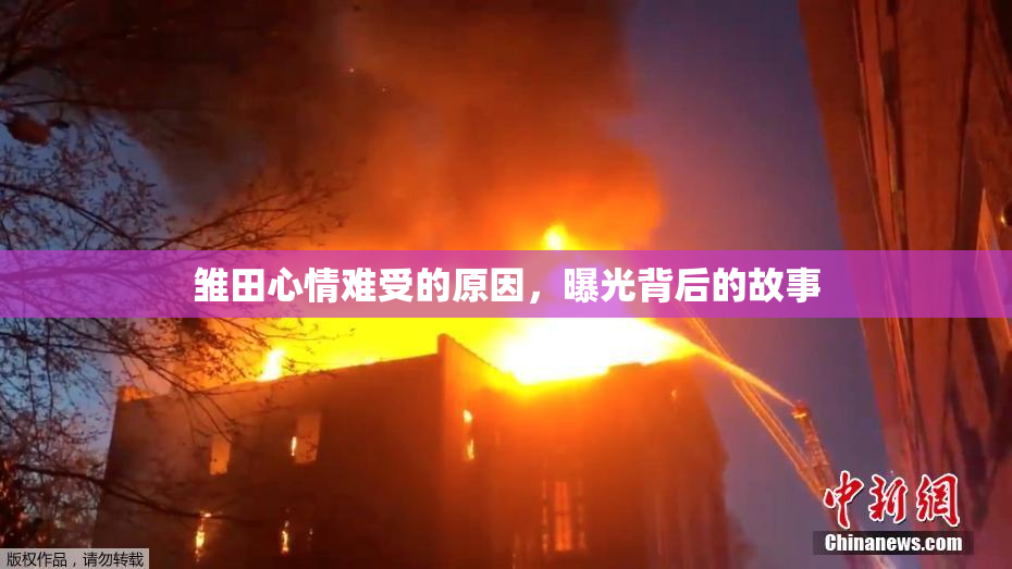 雏田心情难受的原因，曝光背后的故事
