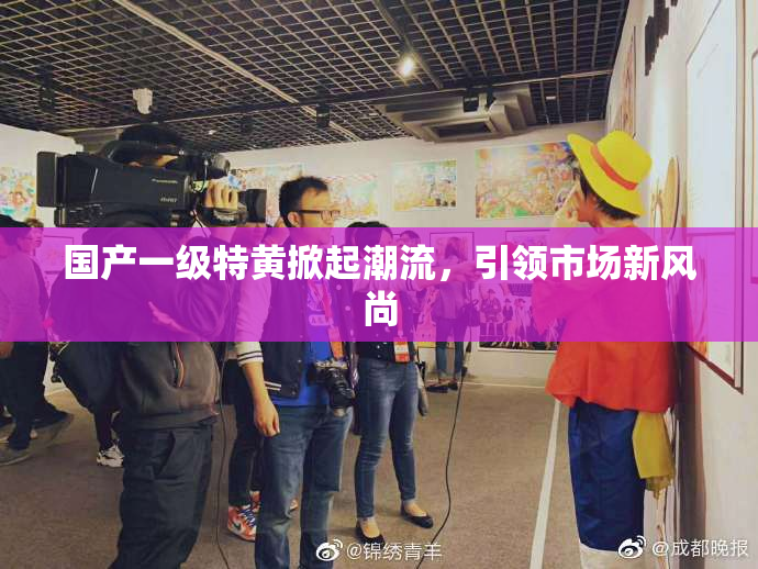 国产一级特黄掀起潮流，引领市场新风尚