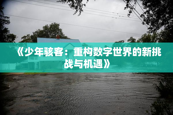 《少年骇客：重构数字世界的新挑战与机遇》