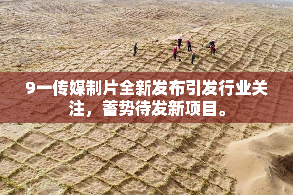 9一传媒制片全新发布引发行业关注，蓄势待发新项目。