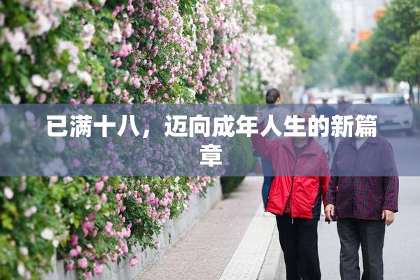 已满十八，迈向成年人生的新篇章