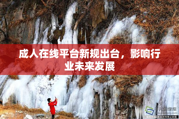 成人在线平台新规出台，影响行业未来发展